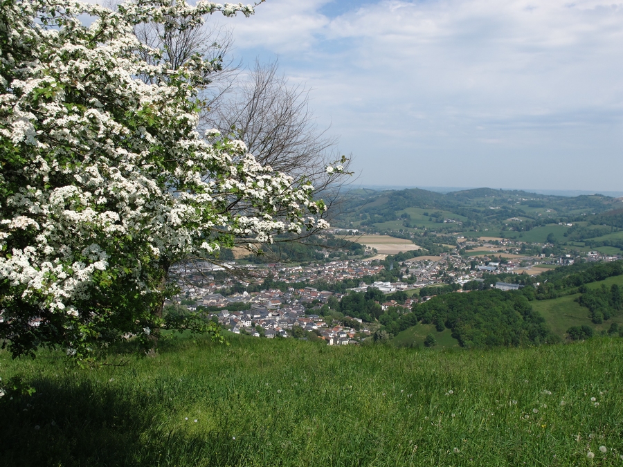 Hidrojena badea xiberoan?